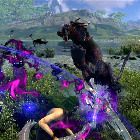 《暗黑法师巅峰攻略：打造0氪近战霸主新境界》