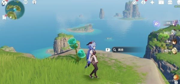 《原神》双双岛守护者职责揭秘：宝箱位置与答案揭晓