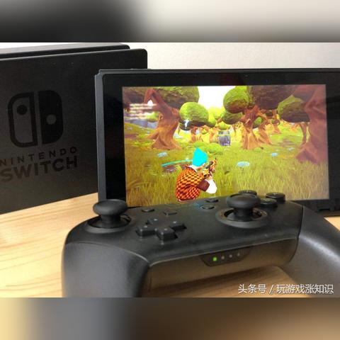 宝可梦Gen10新资讯曝，Steam平安夜遭遇大崩盘，揭秘游戏安全新挑战