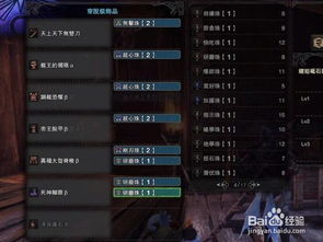 曙光DLC太刀麻痹流攻略：高效配装秘籍大公开