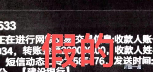 五年坚持每日40蛋，网红新价值圈粉无数人设坚如磐石