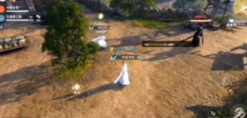 逆水寒善恶断黑技能高效获取攻略，轻松解锁新境界