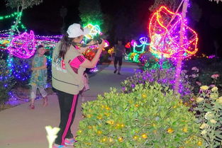 围棋界璀璨新星：三岛响二段，揭秘高岭之花新篇章