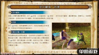 《勇者斗恶龙英雄2》地图攻略深度解析，全面一览新视角