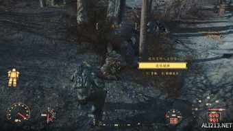 《辐射4》耐力流生存攻略：深度解析全新生存技巧