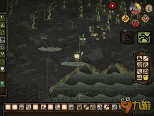 《饥荒》女武神生存攻略：深度解析玩法与生存技巧一览