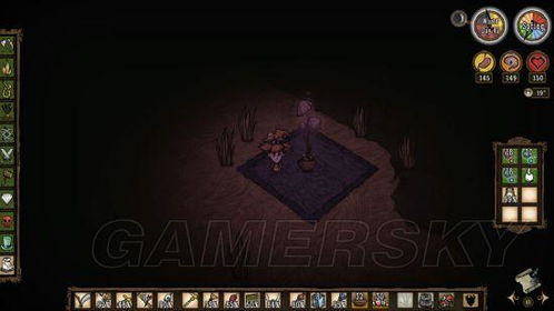 《饥荒》联机版ANR攻略揭秘：新手必看高效玩法技巧