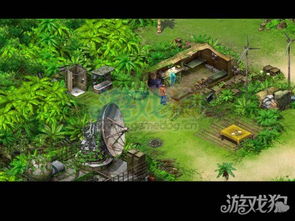 白金幸存者攻略：揭秘全新生存秘籍