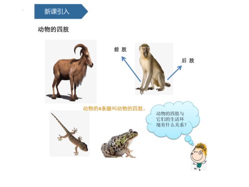 印度PM2.5超标惊爆：动物呼吸危机加剧，环境警示录！