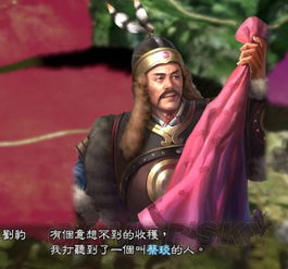 《三国志13》刘豹左贤王图文战报：揭秘娱乐新篇章