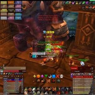 德鲁伊植物人诅咒COC攻略：深度解析《流放之路2》全新构筑技巧