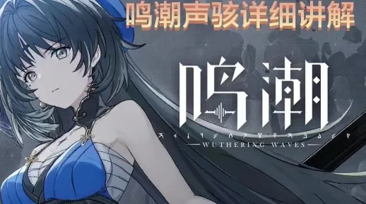 《鸣潮》琳奈武器声骸攻略：打造最强养成秘籍！