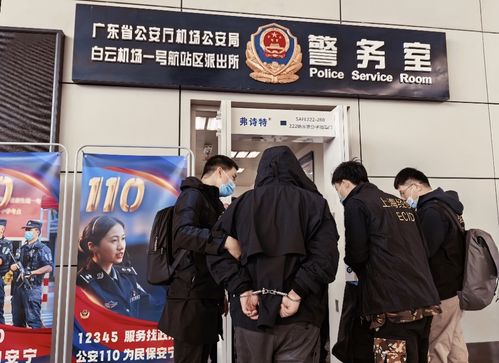 6410万小时见证，甲亢哥中国行：年度现象主播新纪元