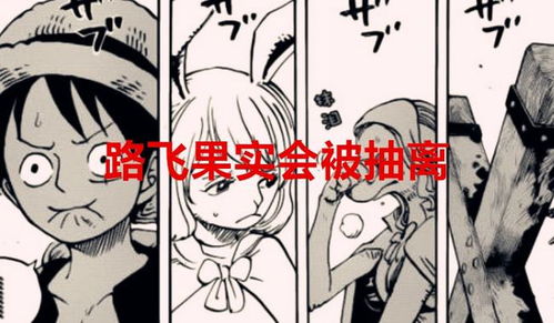 橡胶果实原主路飞非预定，揭秘神秘新角色诞生