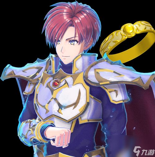 《火焰纹章结合》王子职业攻略：揭秘职业选择新攻略