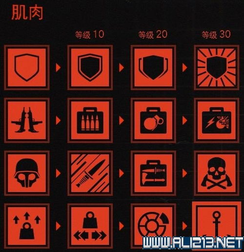 沙脂蛹攻略：高效收集路线全解析，解锁新技巧