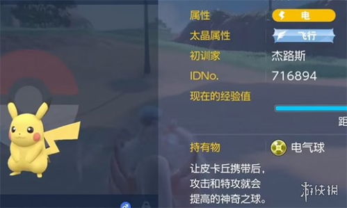 《宝可梦朱紫》金道具高效拾取技巧解析攻略