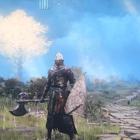 《艾尔登法环》竞技场段位攻略：解锁高阶战斗秘籍