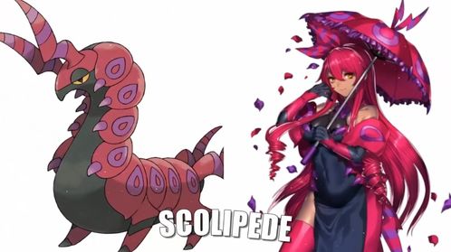 宝可梦朱紫7星喷火龙双月伊布阵容攻略，揭秘全新战术价值！