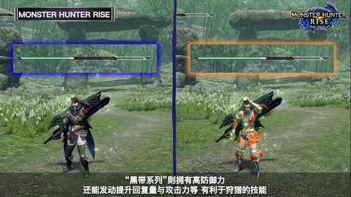 《怪物猎人崛起》曙光3.0棘茶笛最强配装攻略：揭秘高效升级秘籍