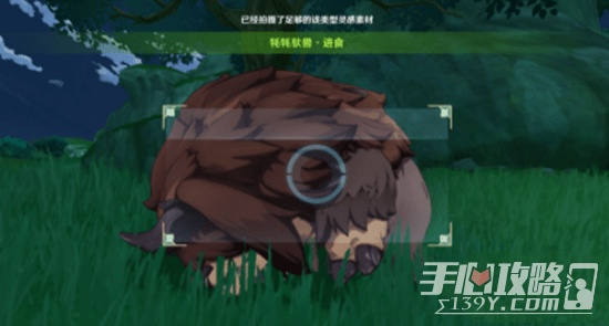 《原神》掠影拾真第三日：深度解析动物行为摄影技巧揭秘