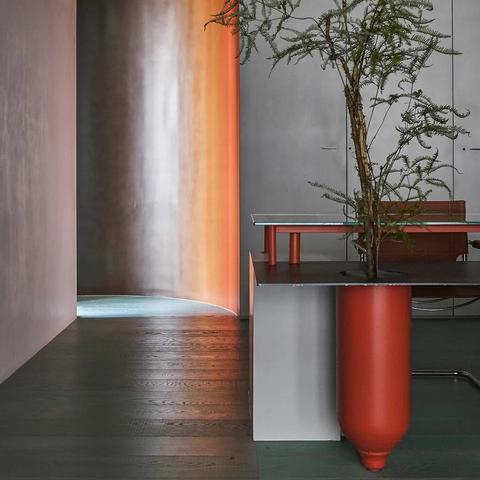 须弥植物大揭秘：用途全解析，价值新发现