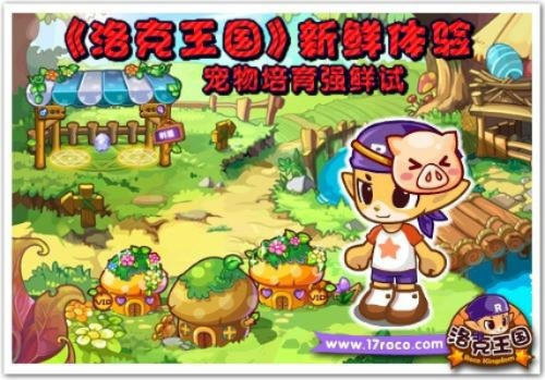 奔奔王国升级攻略：建筑英雄宠物全方位升阶技巧解析