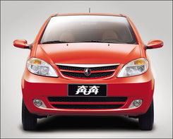 2025年12月奔奔王国兑换码大揭秘，最新可用汇总一览