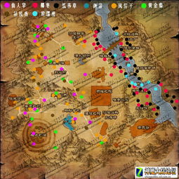 探索遗忘之海，揭秘神秘新世界官网入口