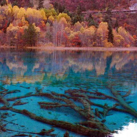 仙境传说重生公测预约福利大揭秘，全平台同步上线！