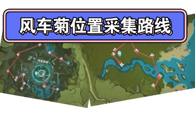 《原神》风车菊攻略：一图掌握购买与采集路线全解析