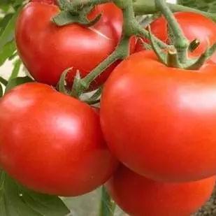 异环公测时间揭晓：揭秘全新游戏体验亮点