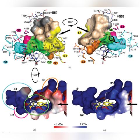 异环揭秘：探寻知名游戏开发商的神秘魅力