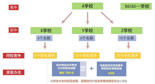 《双点校园》新手必看：全面解析基本玩法与界面新技巧