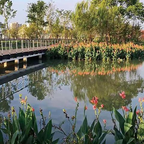 全面解析：Minecraft全版本区块边界显示技巧汇总攻略