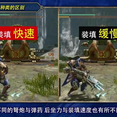 曙光轻弩属性贯通攻略：崛起必备4属性配装秘籍