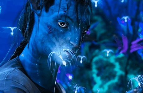 票房制胜，《阿凡达》续集命运悬，创新续篇待揭晓
