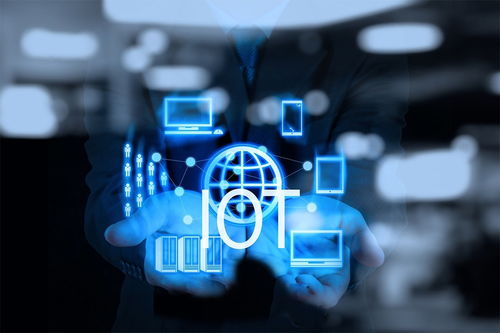 Kilo141与556性能对决，深度解析全新战术价值揭秘