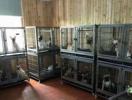 17年匠心筑梦，寄养社区变身蝙蝠侠传奇