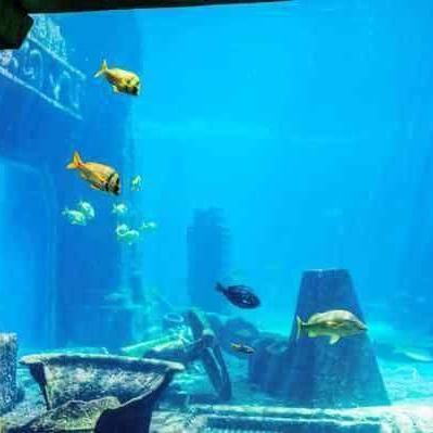 《古墓丽影暗影》宝藏攻略：全收集物品位置深度解析