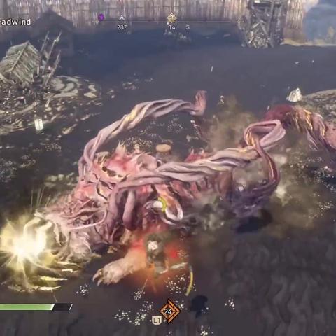 狂野单刷揭秘，岚金虎挑战新高度！