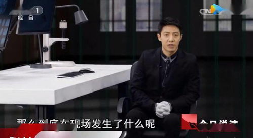 今日说法主持人被骗，揭秘嫌犯落网真相震撼曝光