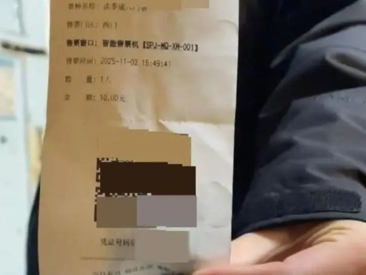 羽绒服退货惊现哈尔滨机票，揭秘网购退换新秘密！