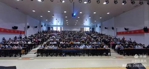 御三家联手，共铸游戏新纪元，合力壮大产业格局