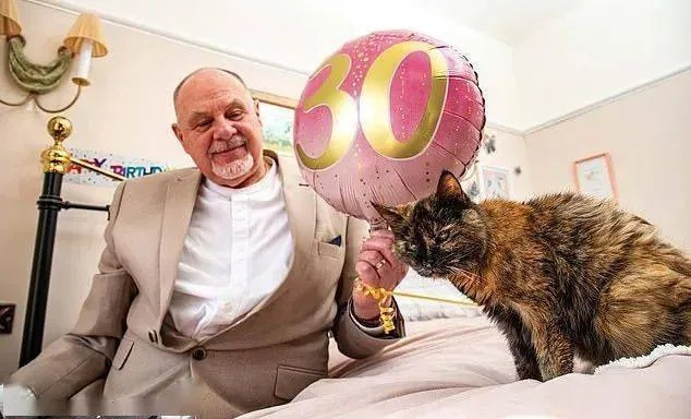 猫咪传奇弗洛西：30岁高龄，活力依旧，揭秘长寿秘诀