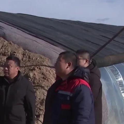 推广员2025，如何快速引爆游戏社区影响力？权威行动秘技