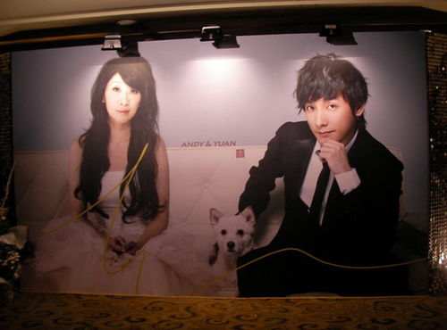 男偶像暴力事件引热议，经纪公司正面回应新举措震撼来袭