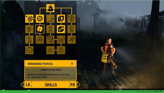 sifuwang私服游戏，2025年独家生存技巧大揭密！