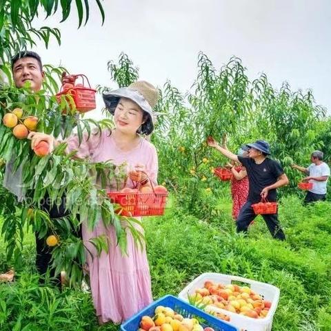 梨体模绝美新图首曝，揭秘AI赋能下的视觉盛宴