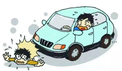 12岁神童奇迹！96公里时速惊险停母车，安全守护显担当